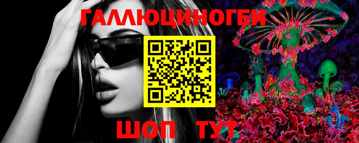 купить   Галлюциногенные грибы Magic Shrooms  Мурино  Вход с VPN  Псилоцибиновые грибы GOLDEN TEACHER 